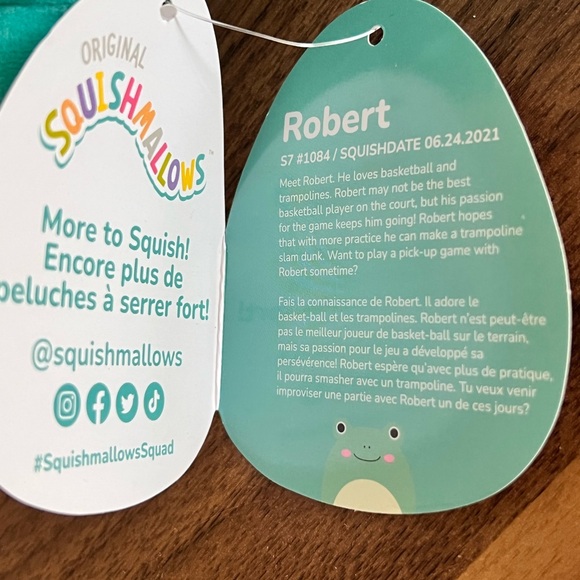 Squishmallow Robert the Frog 7.5" Pet Shop squad S7-#1084 NWT Blue frog - Picture 8 of 14